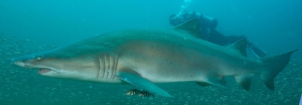 b38aa865-d134-49f4-b407-0dc595b39b09