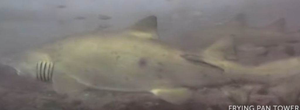 bafdaec4-1bd2-4e6e-a178-1795916fb961