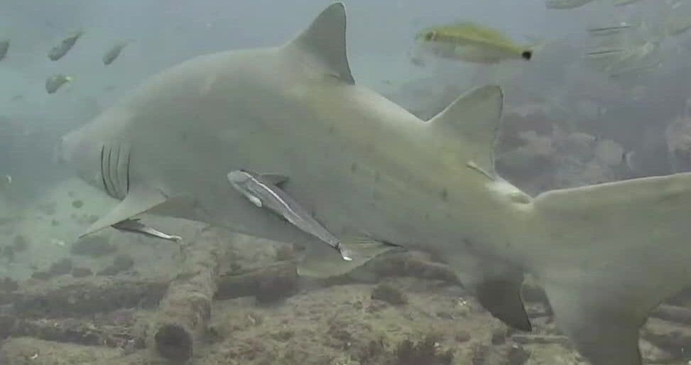 30ba8278-9c94-4408-9769-d01f594e39fd