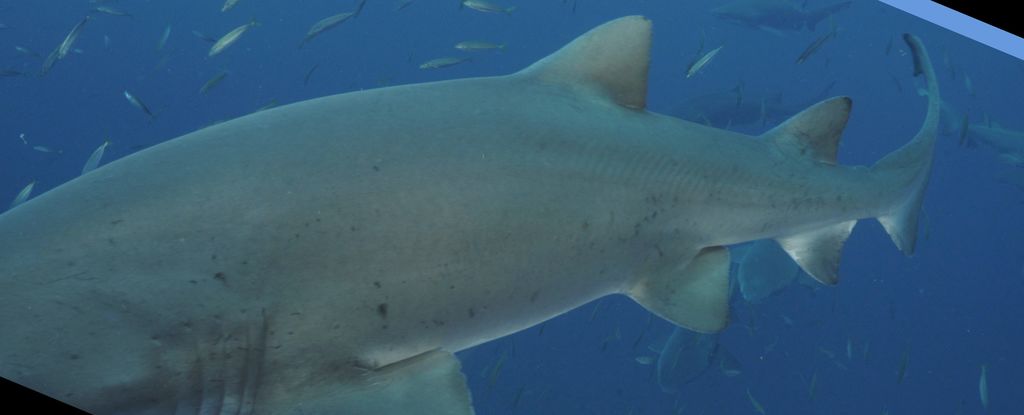 129dfb33-bc96-4253-ae7d-31dd7e1a5085