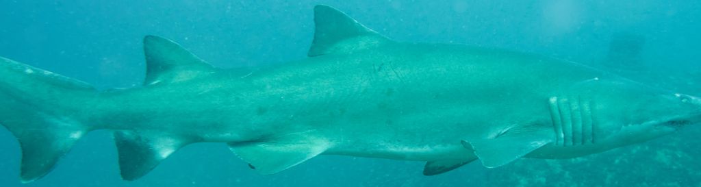 ec81cbac-0668-4e34-ab60-75a2d6c2c1ae