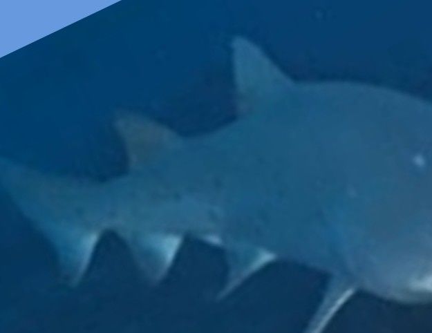 e0397730-1d4c-47bc-8961-e9e4eb9d892e