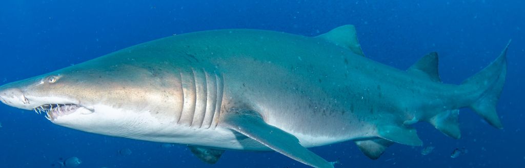 22e96467-f76e-461a-9ae6-21ae84bbec69