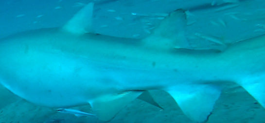 2cbe06b8-4ebe-4a32-b60a-0d3706e3ff90