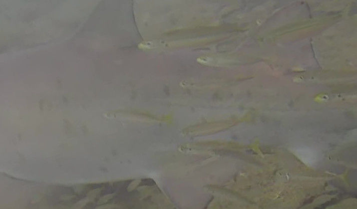 e1385574-6613-4ca5-8746-0832eabbb68e