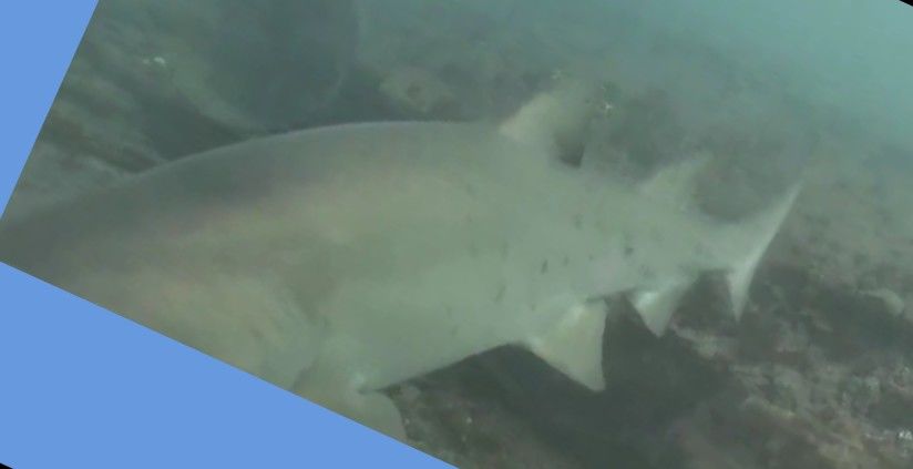 aff288a4-6dc4-4c70-b59c-537c02f638ef