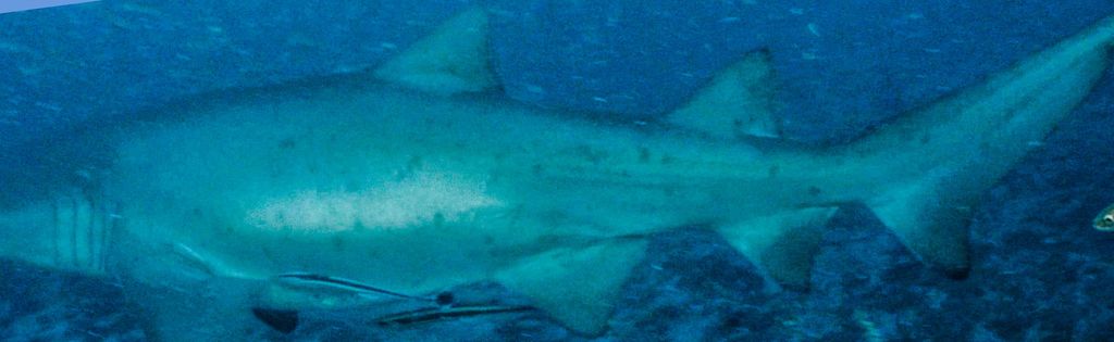 171fcd82-1658-4a90-af68-9140349f2aac