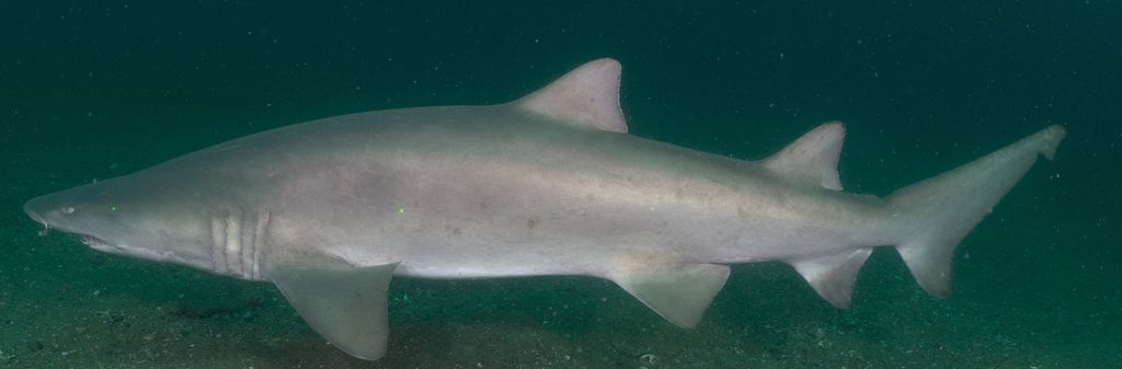 d7552ab9-8068-4a82-8208-243063d8e288