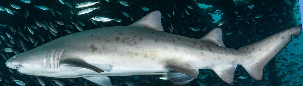 47be0dea-79fd-46dc-807c-5b176d6f5006