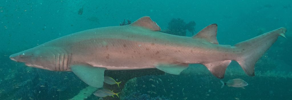 b623d039-bcbe-4996-856e-4758838e7dd7