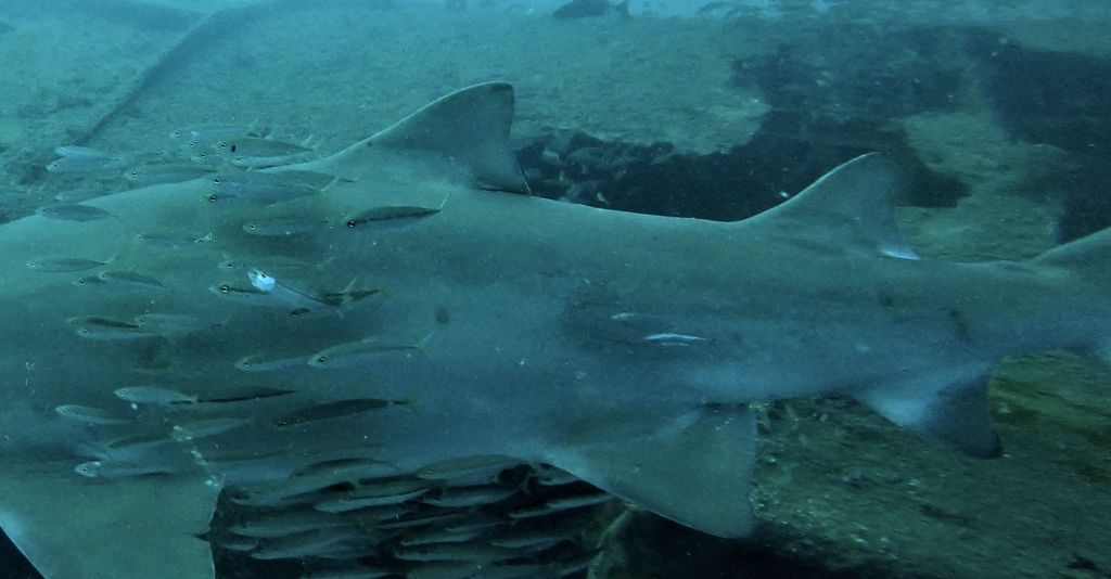 13125340-ec5d-4cd1-b74b-59b93f636abb