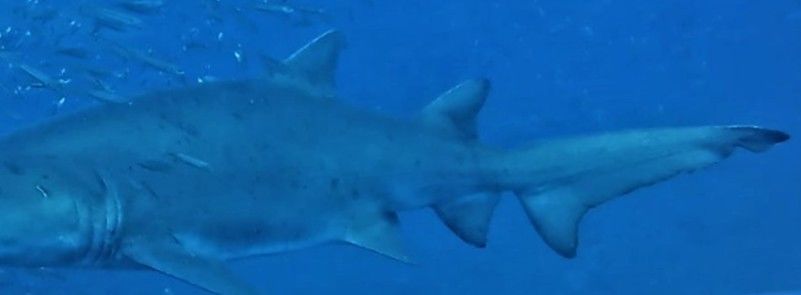 546316a7-55d1-456f-9f72-377d321e2c40