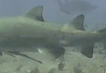 dc0bf667-8c1a-46be-ace9-4ba7cfaabd3a