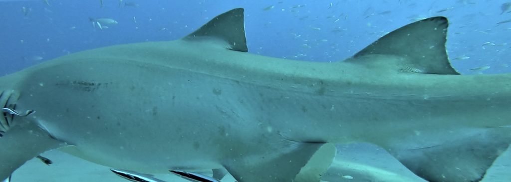 c73205bc-8128-470d-89b9-8a45815b9ec1