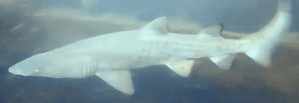 f6ee5ab9-c5a9-4aa9-a163-48d7cb3d4478