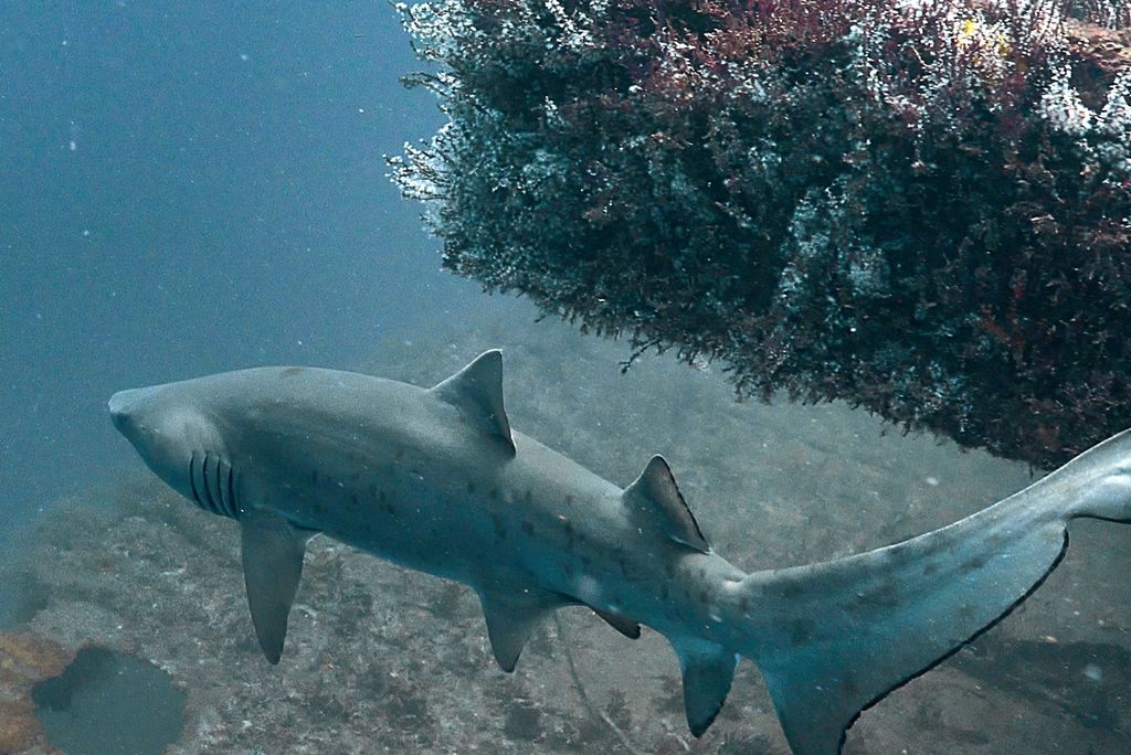 2e383cf7-abe9-4ce3-b3cc-d32f097c20af