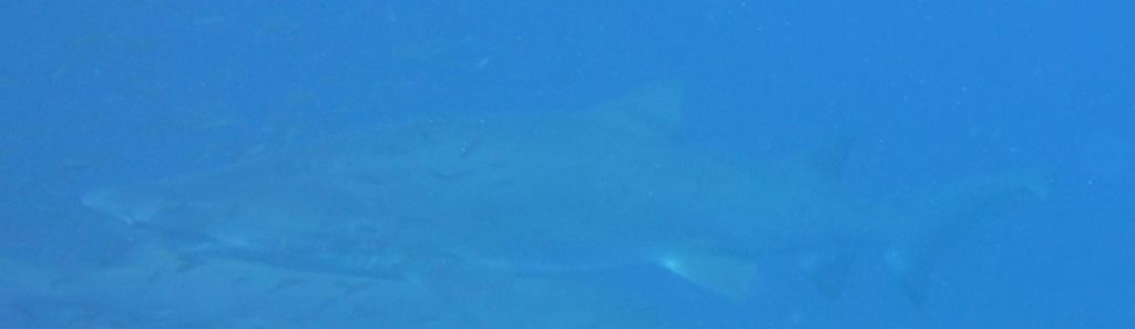 f5f1c3d1-351d-49b2-85d0-c65335ae0cdd