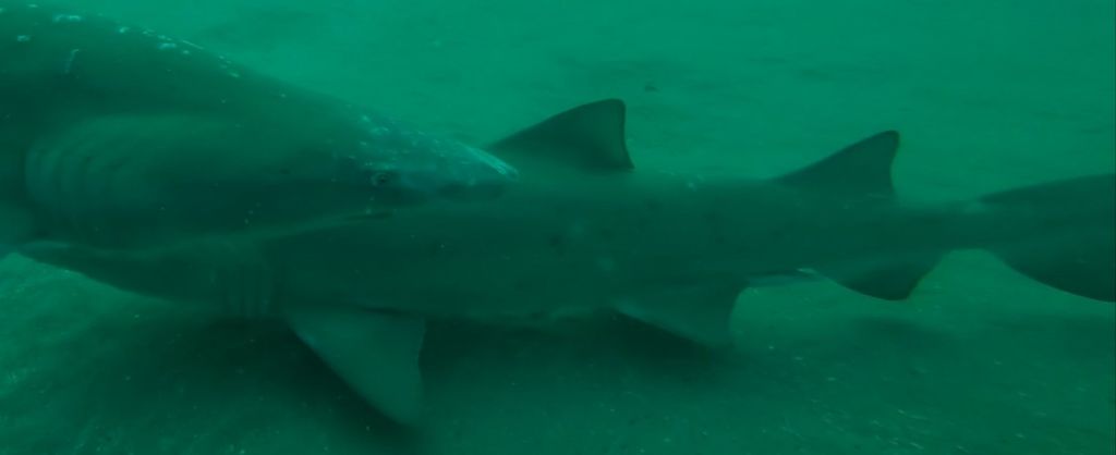 3be842ce-f42e-4b7e-bcb7-1ae757285bf3