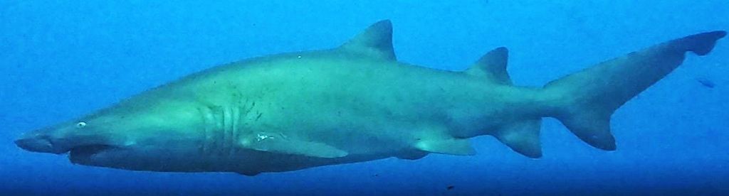 0dc565b5-b134-403b-a559-5a78b4f5b14c