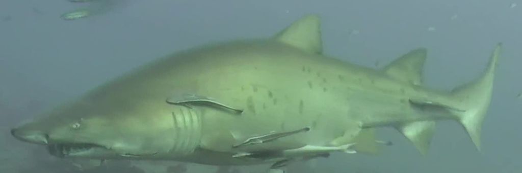 1712aebf-3918-47db-bd93-b1acfdb17da9