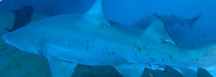 bb63a633-dc80-4561-8889-3b351c186987