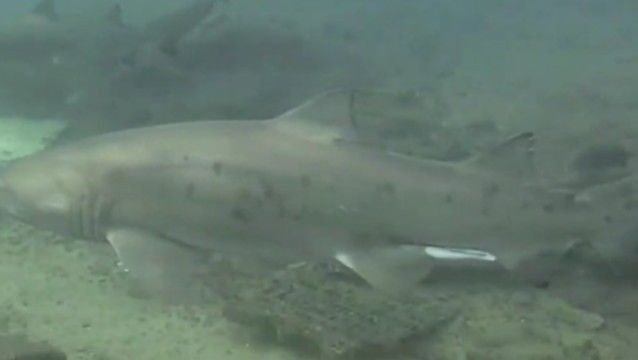 f5425d8a-e987-415f-8d5c-d4fa777746f2