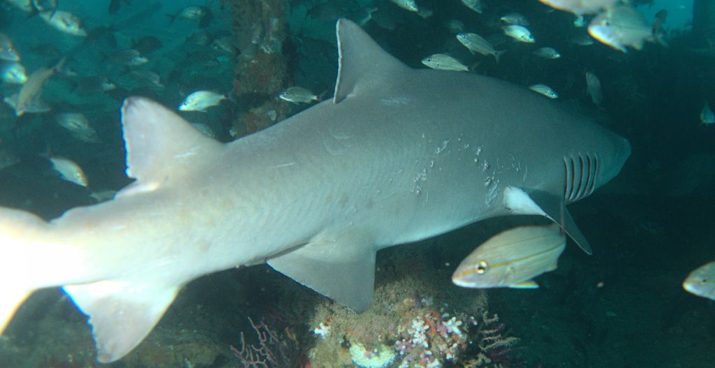 e4e2a623-f196-4a29-8432-6f3f2dc5a9dd