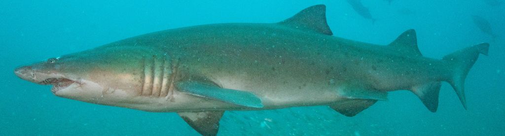 23b62b8b-a209-4763-bd95-995e6c9ca3f5