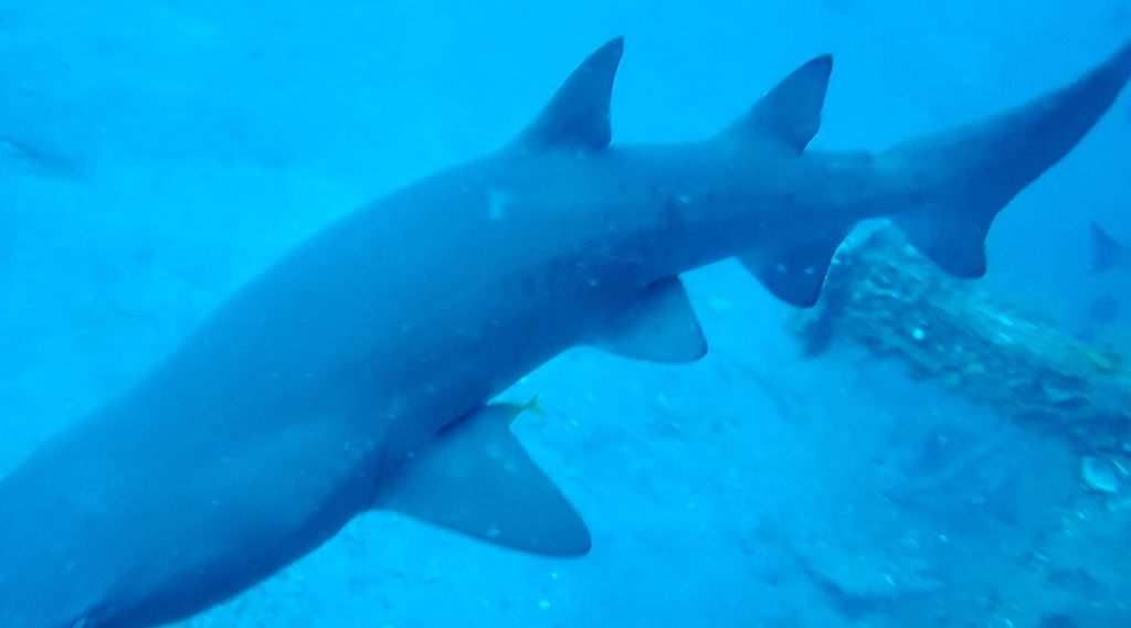 3f081a0d-d68e-430e-a974-61aae0456682