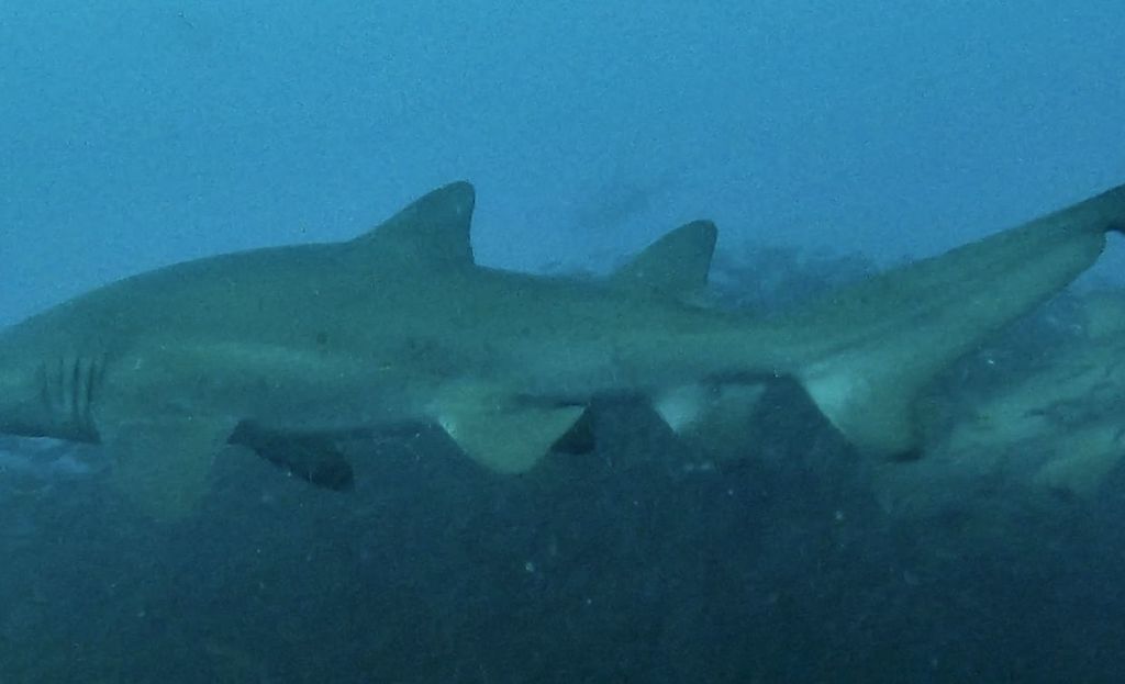 6371a989-4dd4-4fed-afef-5b8d28c0f0e0