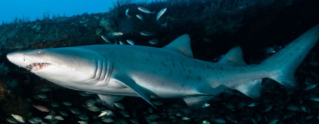 843800a2-b789-47f0-9478-34d438bdf24f