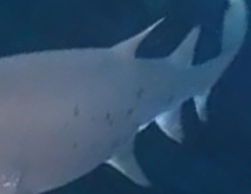 e21d1220-9991-41b3-8c8e-d32c376f746b