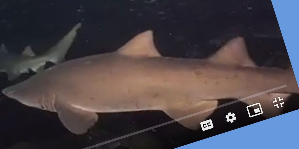 ac64c6da-28f8-466b-afc3-c463bdbe6fb7