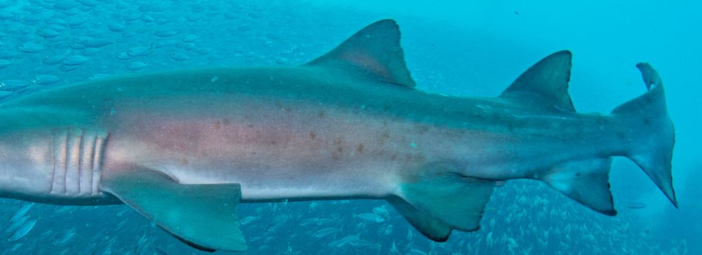 85646f69-538e-45ef-a8fb-d0aaca21b494