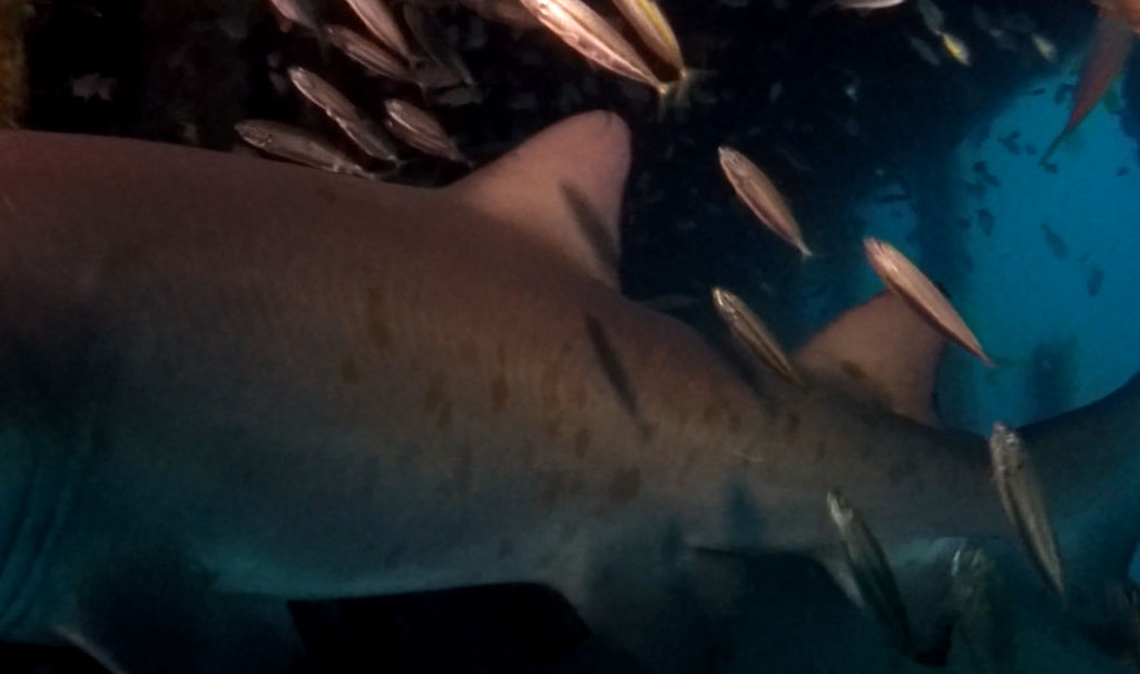 acdc507d-90cd-4c2d-b05a-4583c217418a