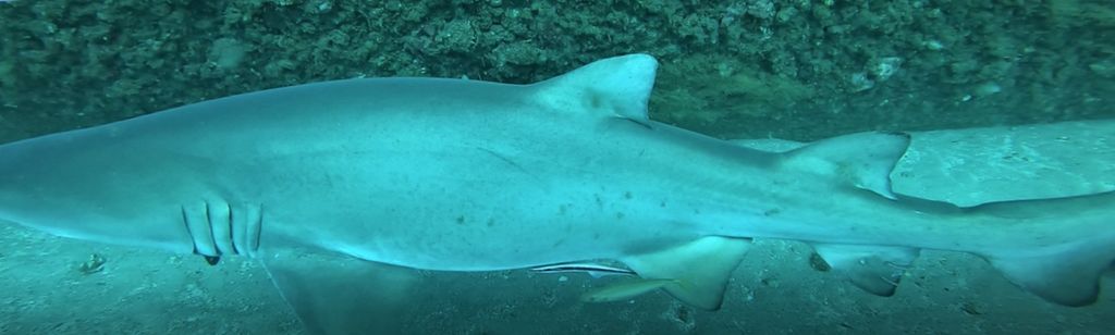 411a1202-7b1b-41a3-936c-7a7e94793d8f