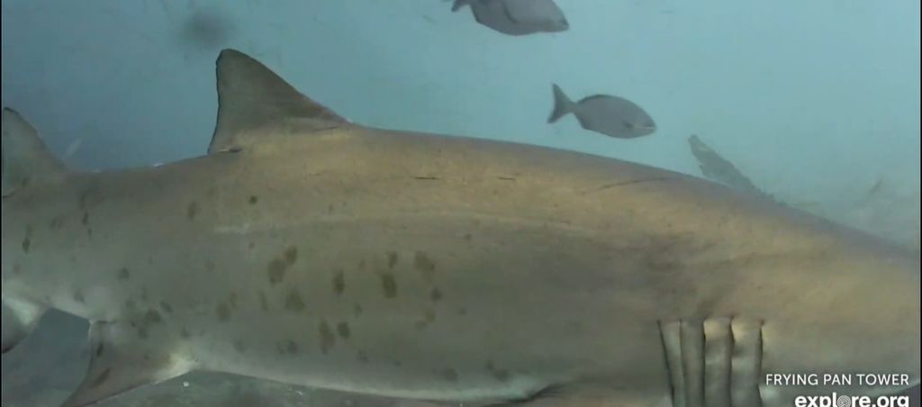 2da79c4a-0840-4915-a245-77d44484dc50