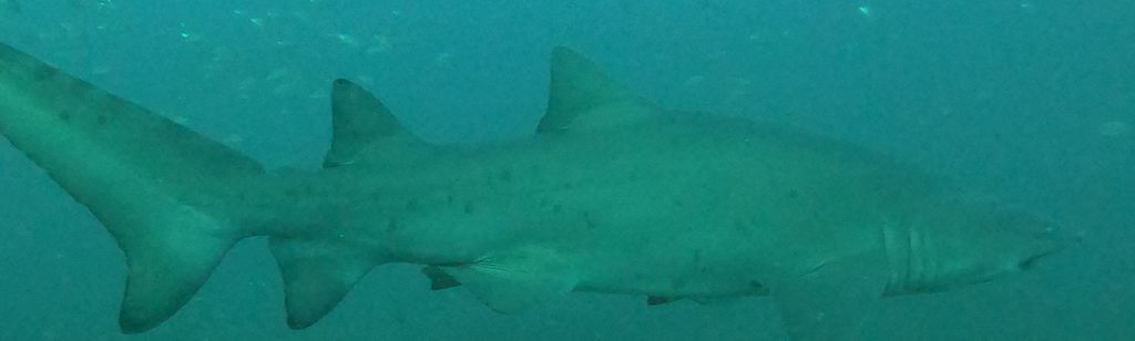 e980dbac-a0a6-4b41-b291-1d9f49995eb4