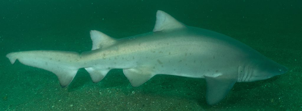 0b49e46c-3f1e-4472-91ae-80213214d8c8