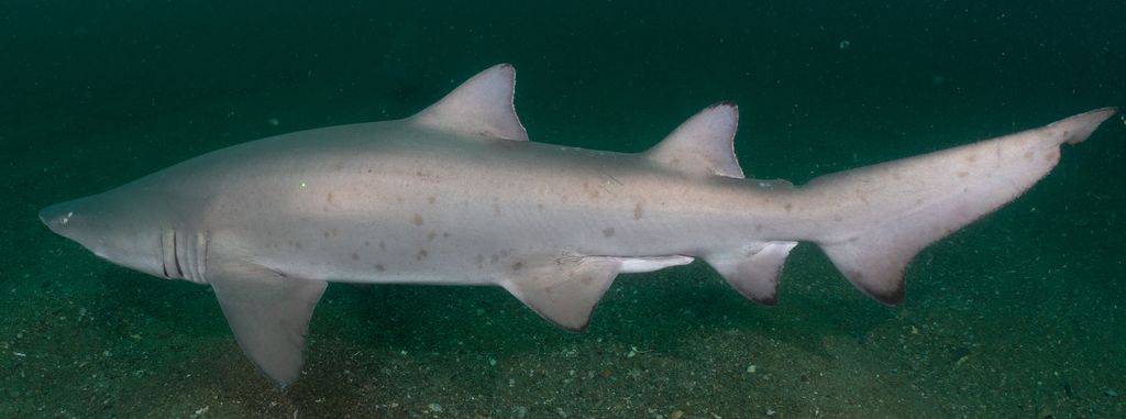 a30f2ab9-531a-42bf-854a-7d00d1ee9c53