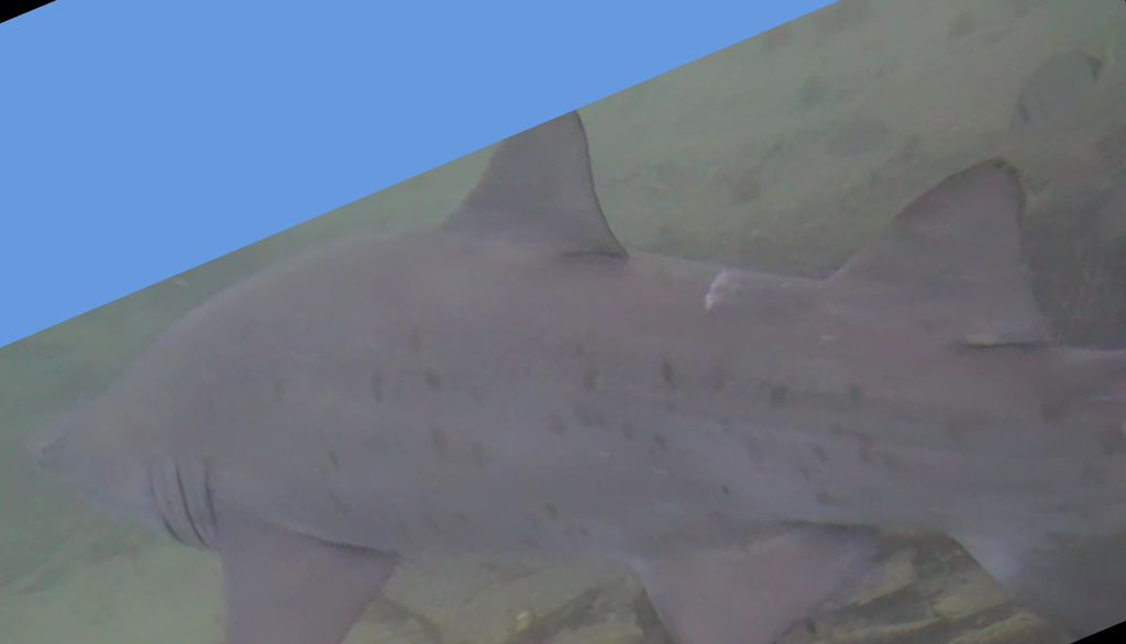 e1385574-6613-4ca5-8746-0832eabbb68e