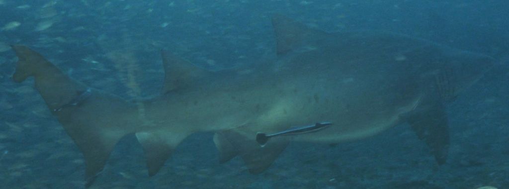 50df049f-4950-4d1a-b95d-49b0d1088a10