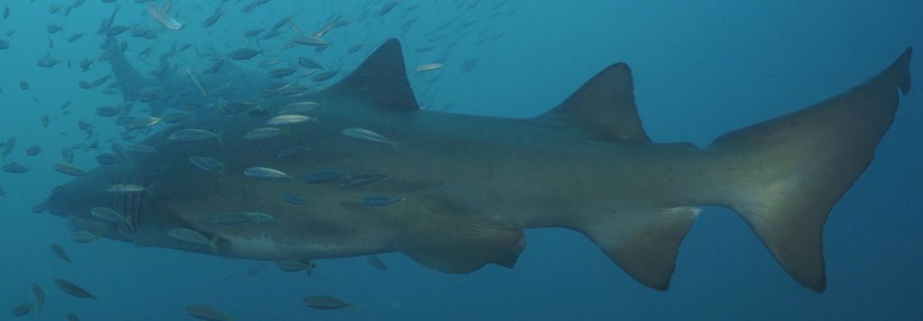 1939c3e6-6f93-4815-aea8-18be6346bec0