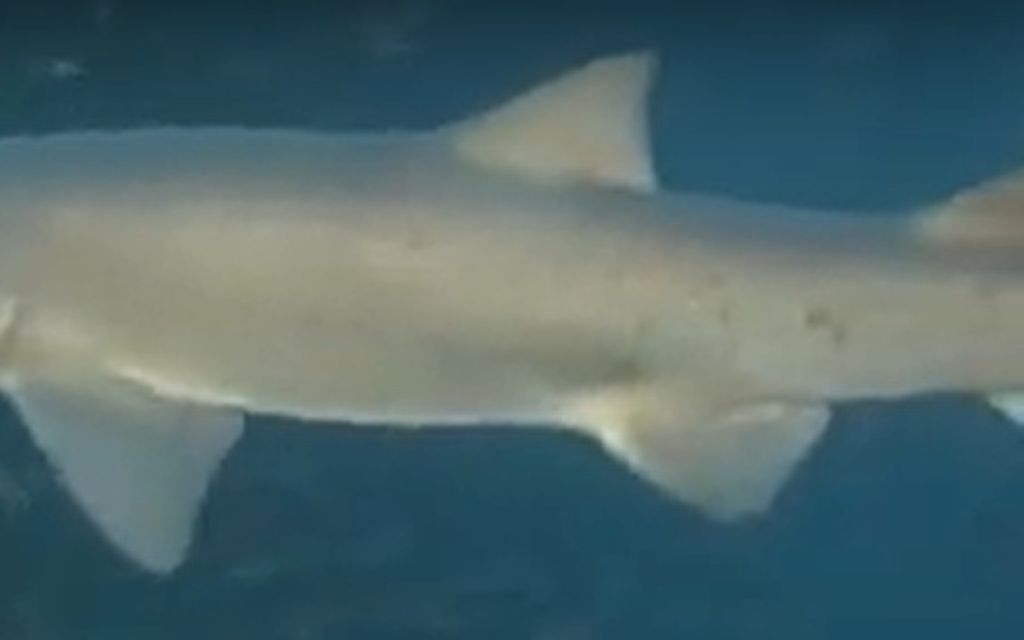 c8e17968-2c23-48b0-a567-e95d9a434802