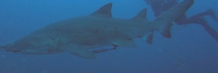 5239b106-82b1-4a63-8f4f-039b7b570825