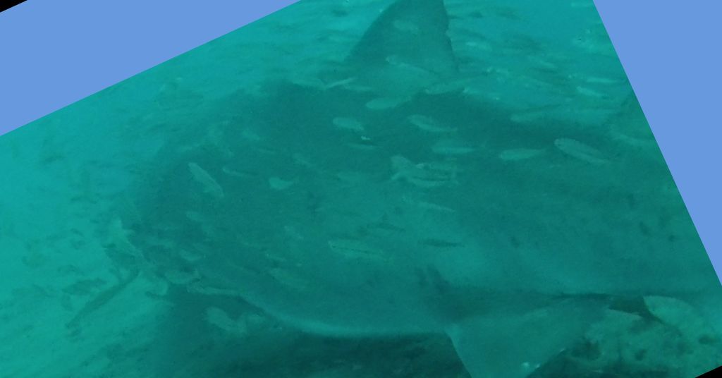 2fb313be-0001-4f3a-a050-b49de380cb3c