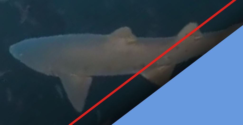 b28b096b-b381-4be1-a0fb-9c57a3e4be33