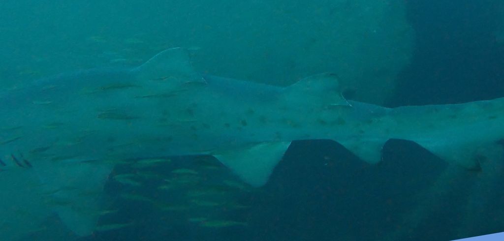 00f65907-f729-4b02-886a-acd245c96a65