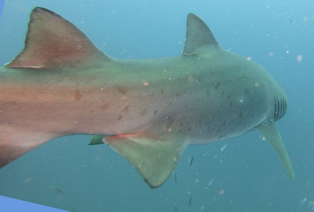 478e5170-127d-405a-af09-f73722252486