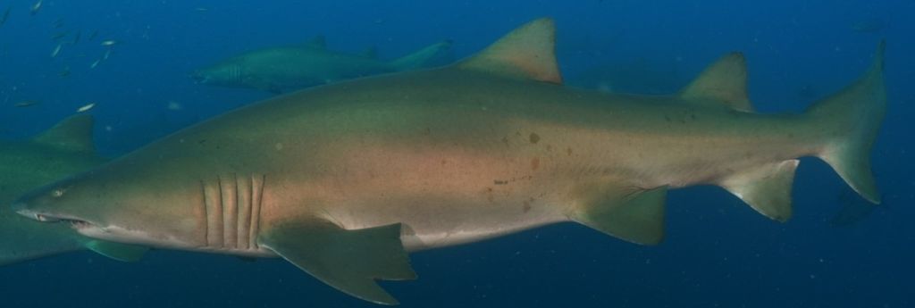 b90ff59a-b3e0-4c8d-8ce8-8981d710ea25